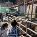 가래골농원 캠핑장 이미지