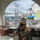 T.F BOXING GYM | 태국 치앙마이-2일차 (당 무에타이클래스, 퍼 아락 수영장, 올드타운, 블루누들, 태국 전통의상 체험...