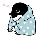 디지컴퍼니