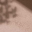 금촌튼튼본의원 이미지