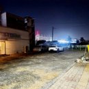 회를품은오리 이미지