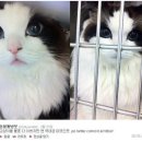 반짝반짝