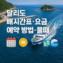 사리보건진료소 | 달리도 여행 준비 완벽 가이드! 배편(시간표, 요금, 예약)부터 물때까지 한번에 확인