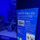 (주)시흥에너지 | 경기 아이랑 주말에 가볼만한 곳, 시흥 해양생태과학관