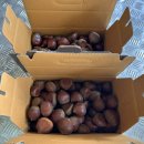 왕축농원 이미지