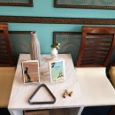 치브레오 이미지