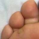 메이저피부과의원 이미지