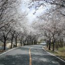 삼랑진발전처 이미지