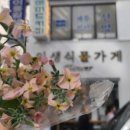 인생식물가게