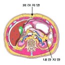 '지방흡입' 지방흡입 후엔 살이 안찌나요?!?! 이미지