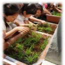 버클리명문유치원 이미지