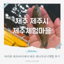 공원마을 문영빌라 옆 | 제주체험마을 아이와 특별한 테우 대나무 낚시체험 재밌어요!