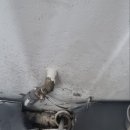 안산천서로1 이미지