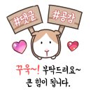시민제과 효자강변점