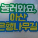 가수박미현 온양블루스/1+3사랑나눔 자원봉사 오늘도 봉사습관,곡교천 은행나무길에서 열려 이미지