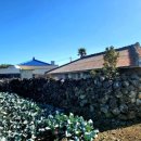 스테이 겨를 이미지