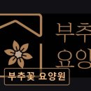 부추꽃센터