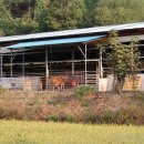 마평마을 이미지