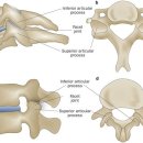 연재한의원 이미지
