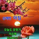 3월 24일 수요일ㅡ춘삼윌도 이제 일주일 남았네요ㅡ 이미지