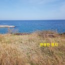 인베스트부동산중개 이미지