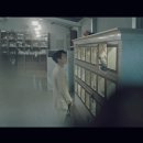 펫바라기 이미지