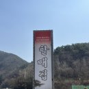 장안할매집 이미지