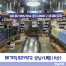 해피홈약국 | 성남 메가팩토리약국 방문 후기 – 창고형 약국의 현실과 장단점