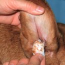 하일동물병원 이미지