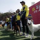 광판3리 이미지