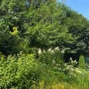 신구대학교 | 성남 | 세기말(Positive) 감성 신구대학교 식물원 방문 후기