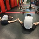 고니복싱 이미지