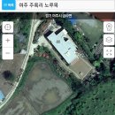 노루목향기 이미지