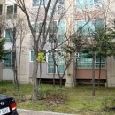 대지로15번길 이미지