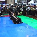 합기도대구관 이미지