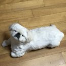 꾸러기동물병원 네이버블로그