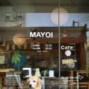 마요이(mayoi) 이미지