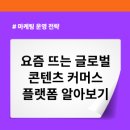 SNS활용과 숏폼제작 그리고 수익창출 | 숏폼 하나로 수십억 원 매출? 글로벌 콘텐츠 커머스 플랫폼 총정리, 중국 도우인(더우인)·틱톡샵...