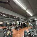 레이디 휘트니스 이미지