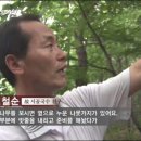 시골국수 이미지