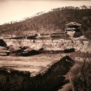 수원-1907 이미지