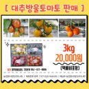 스마트TS