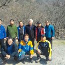 한국JC Daum카페