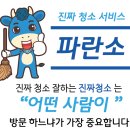 파란청소 이미지