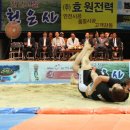구례체육관 Daum카페