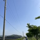 피플앤독 이미지