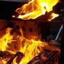 세종 행정사 사무소 이미지