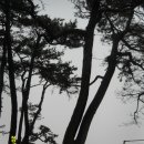 분계정숙민박 이미지