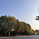 가보컴퓨터세탁소 | 해방 후 쓰는 글 (사진 많음, 11/23)