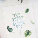 펜캘리그라피 1,2급 이미지